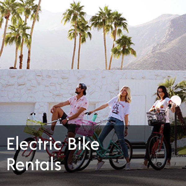 Electric Bike Rentals