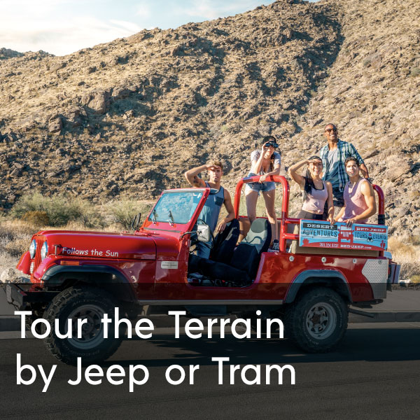 Tour the Terrain by Jeep or Tram